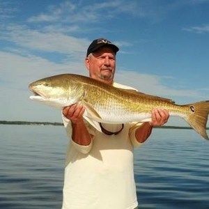 Meet your Posher, Steve